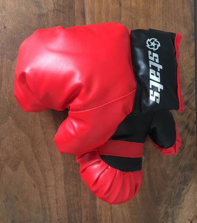 Stats Kids Boxing Gloves Gently Used (age 5-6) For $1