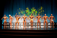 2011 Musclemania Universe Pros