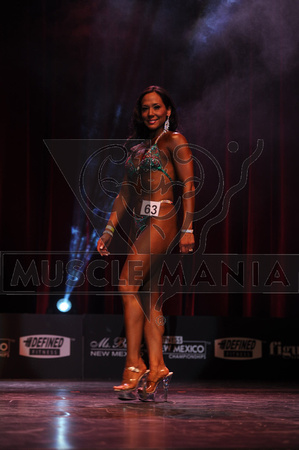 DSC_0562 NM13 FigSp