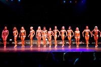 DSC_0404.NEF NE12 FIGSF